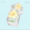 이엔바이(이n바이) 이미지