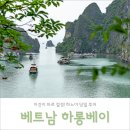 고선주유소 | 대박 하노이 하롱베이 당일투어 후기 + 가격 30달러 할인 소식