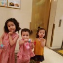 김수아 카카오 검색결과