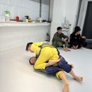 신풍주짓수