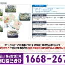 이동통신프라자 이미지