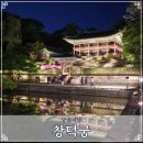 한국무용 | 창덕궁 달빛기행 기본정보 전각 후원 서울 야경 명소 궁궐 산책 후기