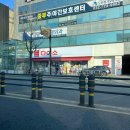 다이소신포국제시장점 이미지