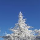 태기산주유소 이미지