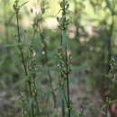 허한의원 이미지