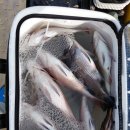 설리어촌체험휴양마을 이미지