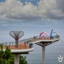 동해활어회센타 이미지