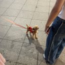 (주)칼리아디자인 | 9월 기록(하)