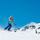 Team Corn Field 이미지