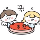 쉬크미용실 네이버블로그