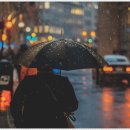 골프사랑 실내연습장 이미지