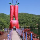 칠갑산토종닭
