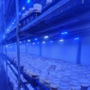 두원농장 이미지