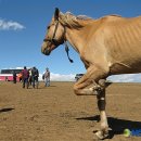 이상기목장 이미지