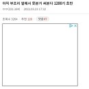 (해병비문학) 1200기 초반이 겪은 부조리썰 이미지