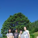 새반송태권도 | 무주여행