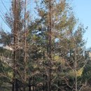 황선희 공인중개사사무소 이미지