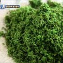 김봉태농장 이미지