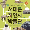 서대문자연사박물관 이미지