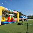 안의초등학교 이미지