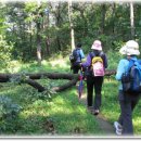 오읍약수터 이미지