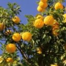 남해-113 이미지