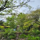 중앙로101번길 이미지