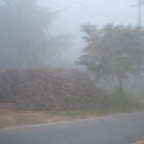 바람아래팜스테이 이미지