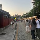 전주 한옥마을 문화유산야행 프리마켓 후기 - 강아지 옷, 강아지 수제 간식, 산리오, 향수, 그립톡...