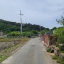 안하 마을회관? 이미지