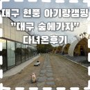 가을 숲으로 놀러가자 | 대구 근교 야외바베큐 감성 끝판왕🔥“대구 숲에가자” 대구 현풍 아기랑 캠핑 추천