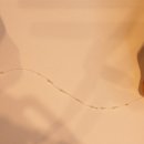 하하소프트 이미지