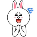 오도꾸 애견샵 이미지