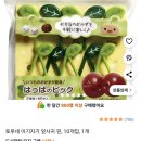 까치유치원 | 소풍 도시락 초코펜으로 케데헌 더피 까치 그리기 망한 후기 리락쿠마 도시락통 용품 X손 도시락