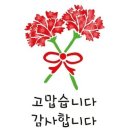 용인대 태풍 태권도장 이미지