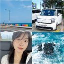 올타이어 제주점 | 제주도 렌트카 가격비교 제주 렌트 추천 완전자차 예약 카모아 후기