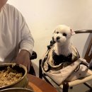 계성농장 이미지