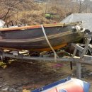 파라솔장어 이미지