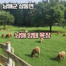 상상목장 | 🌿 남해가볼만한곳🌊 남해아이랑가볼만한곳 추천! 상상양떼목장 편백숲 힐링 후기 🐑💚