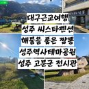 대구근교여행 성주 해물을품은짬뽕먹고 고분군전시관 성주의 태실 보러가다