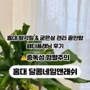 달콤플래닝