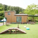 딩동댕 | 가평 반려견동반 펜션, 딩동댕 애견스파 풀빌라 후기!