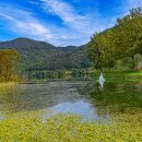 강가에아침 이미지