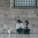 베일리스냅