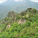 팔봉김밥 이미지