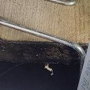 첨단우미2차 이미지