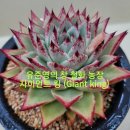 철화농장 이미지