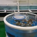 남경의원 이미지