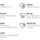 리오안경원 이미지