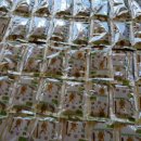 백봉오골계 부성농원 이미지